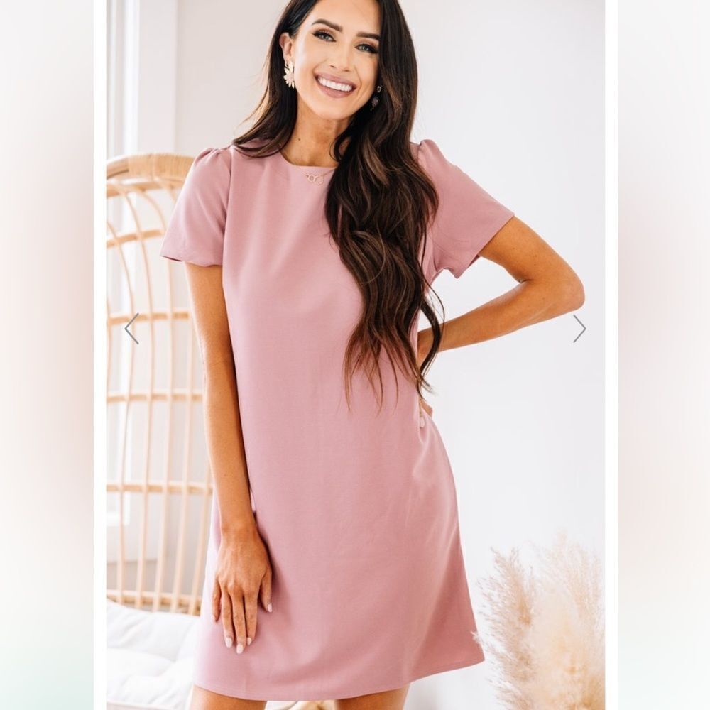 The mint julep blush pink dress - size L - New